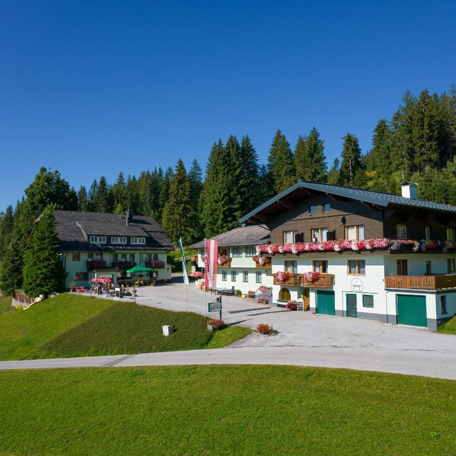 רמסאו אם דכשטיין Hotel Tischlbergerhof מראה חיצוני תמונה